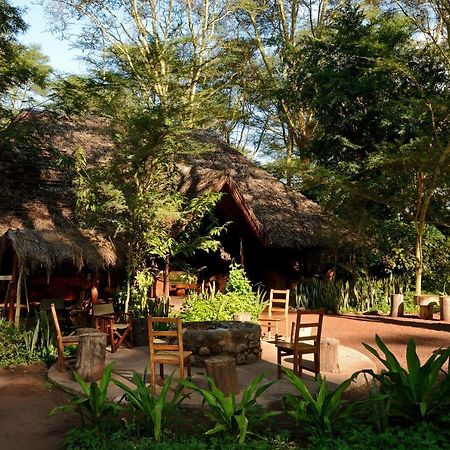 Migunga Tented Camp Mto wa Mbu Exterior foto